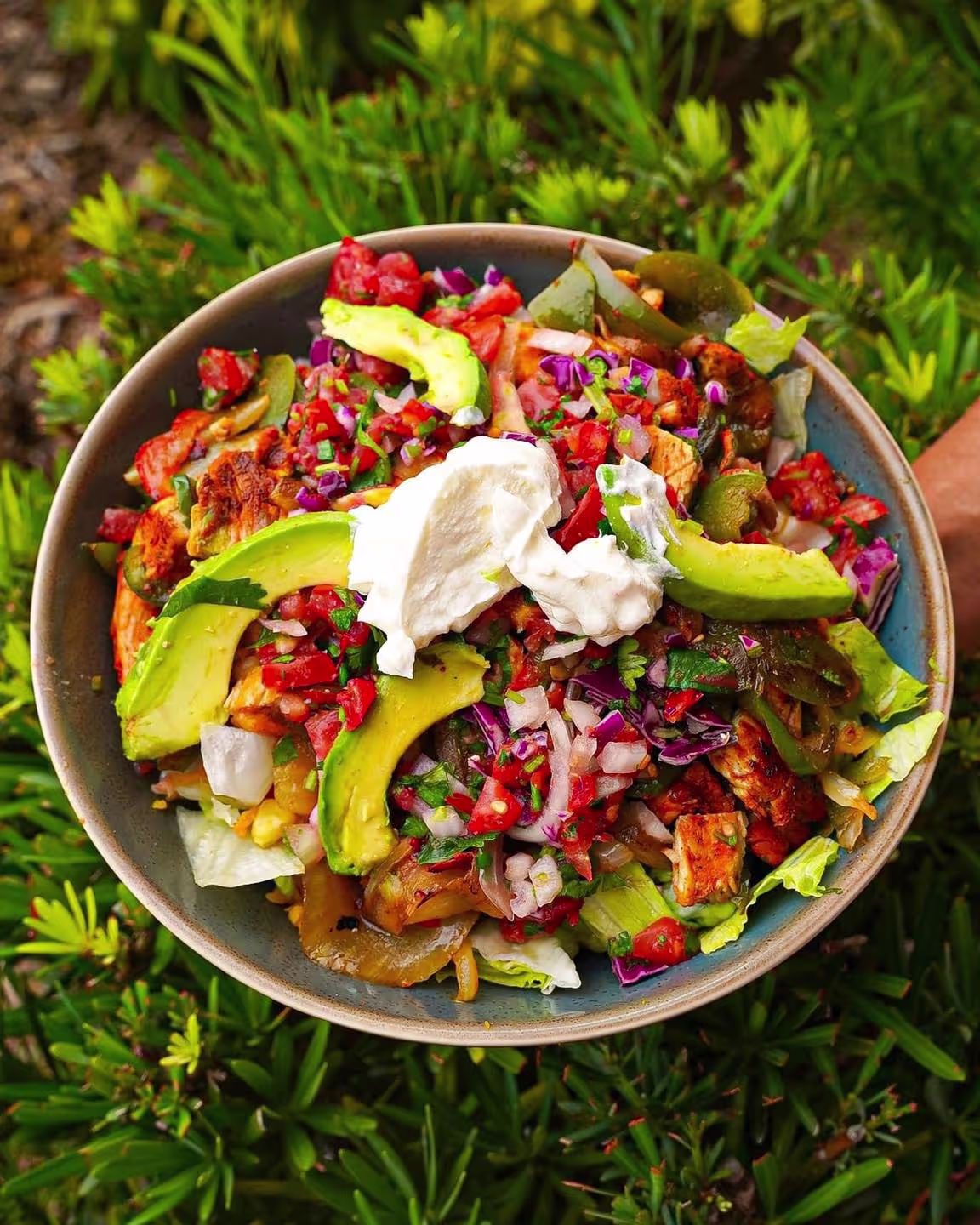 Grilled Bowl Lunch menu